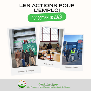 les actions pour l'emploi